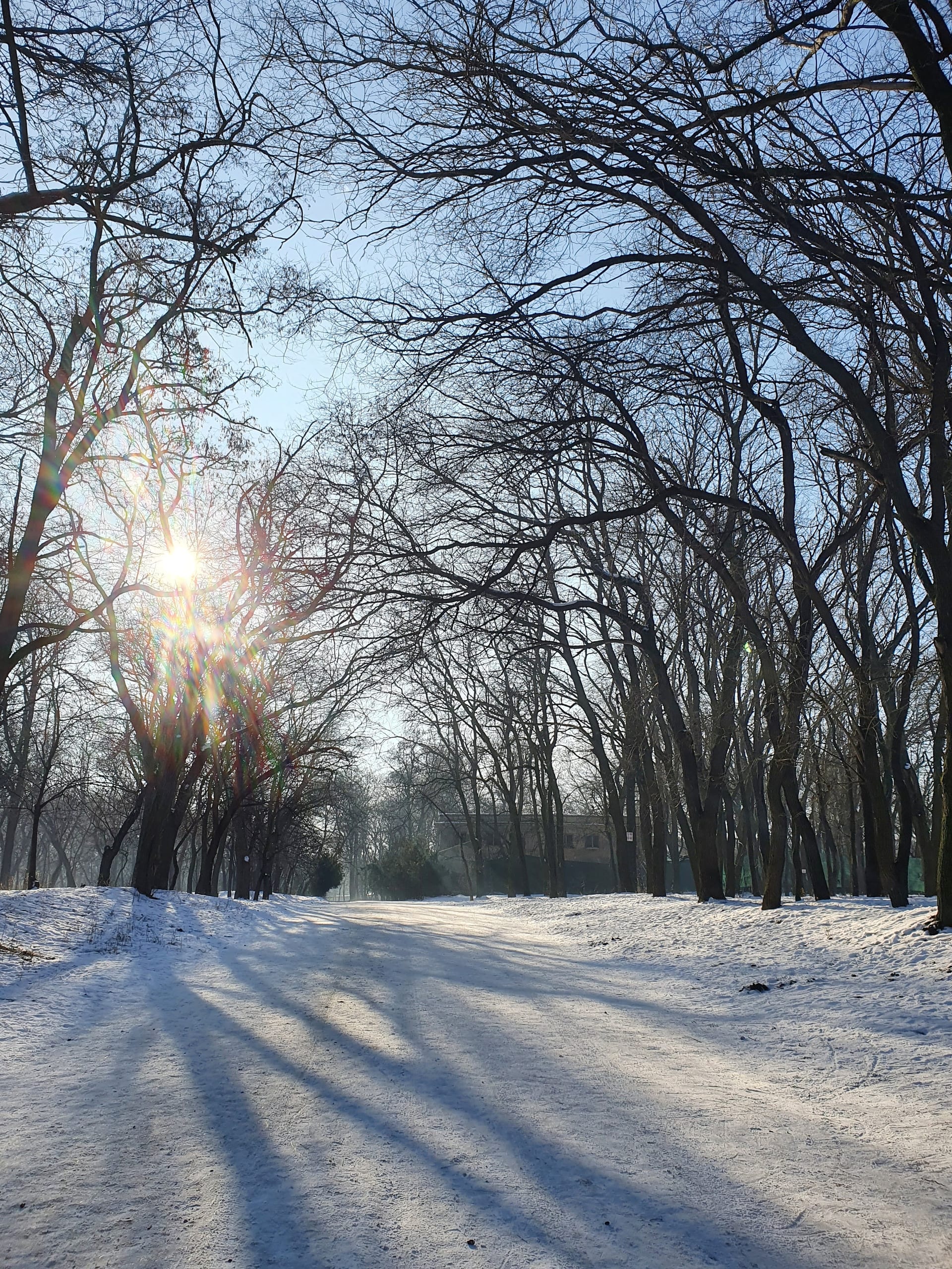 Уголок парка, Дюківський сад (Дюковський парк), Одеса